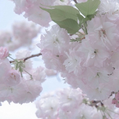 Furry绘画原创思路Furry群